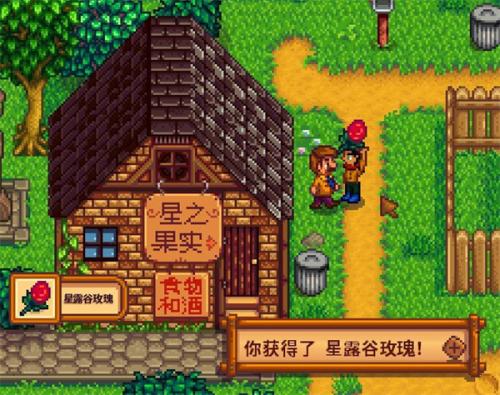 星露谷物语美食家番茄盐给的角色介绍