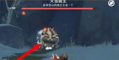 原神雪山野猪王在哪里介绍