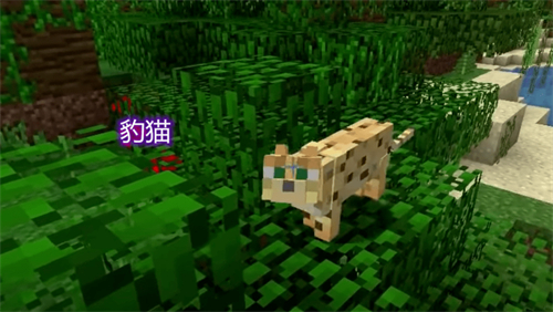 我的世界豹猫怎么驯服 豹猫驯服方法介绍