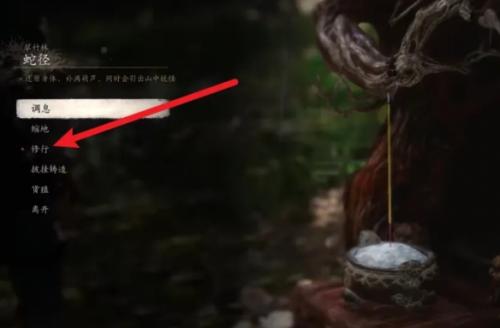 黑神话悟空小活师作用介绍