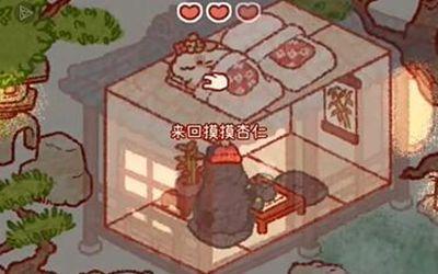 兔兔岛好感度刷取方法