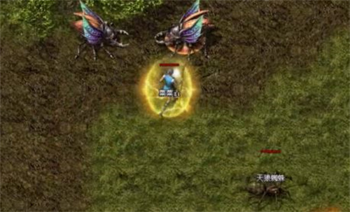 原始传奇法师宝宝多久小时