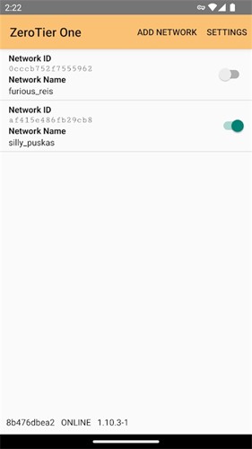 zerotier中文版截图1