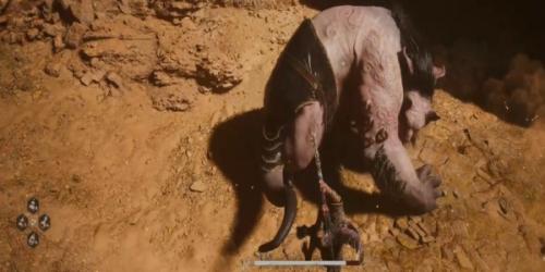 黑神话悟空肉块作用介绍