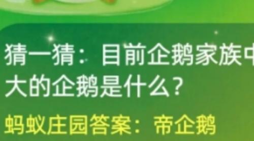 目前企鹅家族中体型最大的企鹅