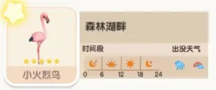 心动小镇小火烈鸟位置一览