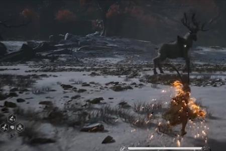 黑神话悟空步云鹿打完后boss推荐