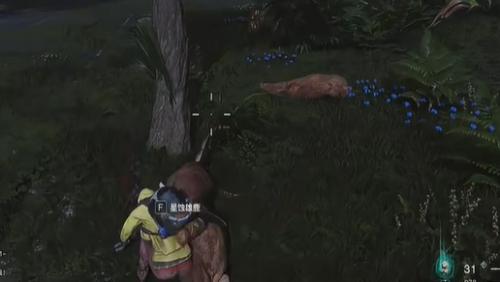 七日世界畸变肉排烹饪步骤