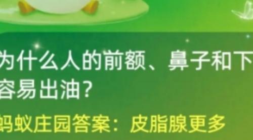 前额、鼻子和下巴更容易出油