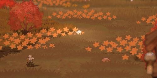 妖之乡御三家词条推荐