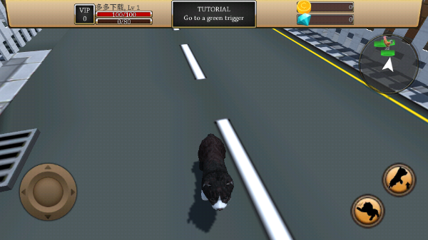 美国zoom动物游戏截图1