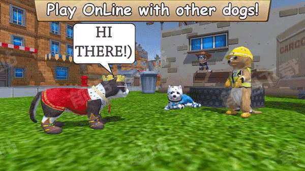 美国zoom动物游戏截图3