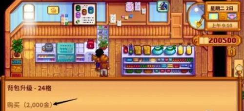 星露谷物语背包格子扩展方法