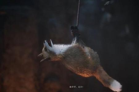 黑神话悟空第五章主线任务流程大全