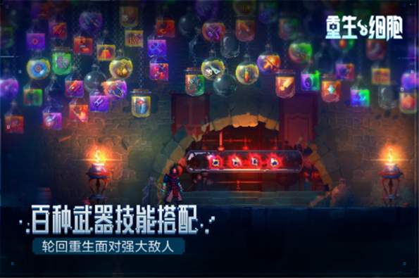 重生细胞3.3.6截图3