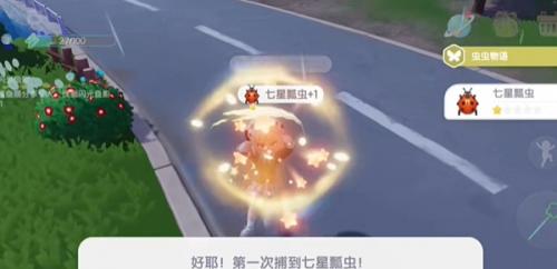 心动小镇七星瓢虫刷新位置