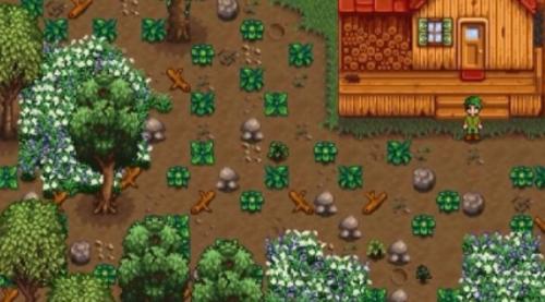 星露谷物语侦查员和战士攻略