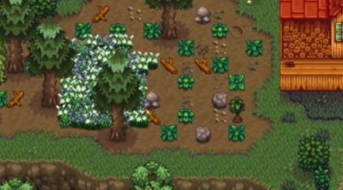 星露谷物语地窖的木桶作用介绍