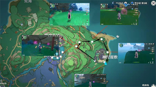 原神绯樱绣球位置大全