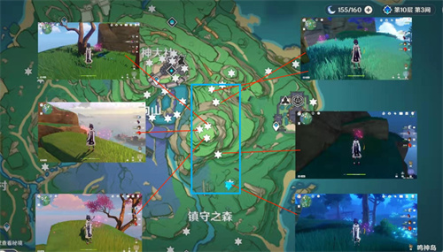 原神绯樱绣球位置大全