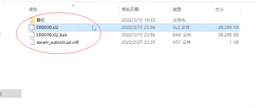 艾尔登法环存档位置在哪里 存档文件名介绍