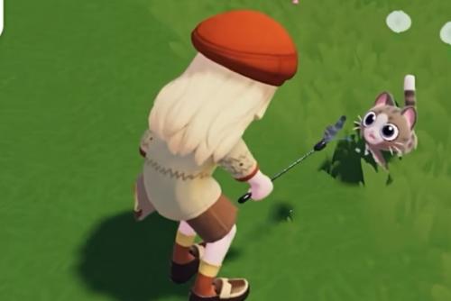 心动小镇猫耳朵染色方法