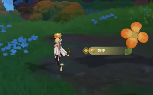 原神纳塔苦种采集步骤