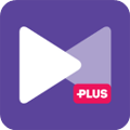 KMPlayer中文版