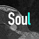 soulbrowser浏览器