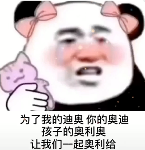 为了我的迪奥你的奥迪表情包