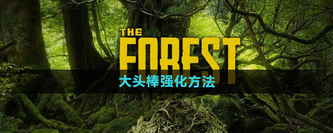 《森林》大头棒强化方法