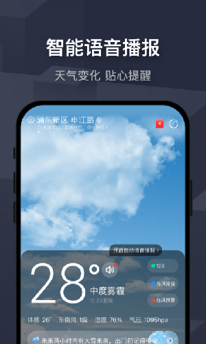 飞鱼天气截图1