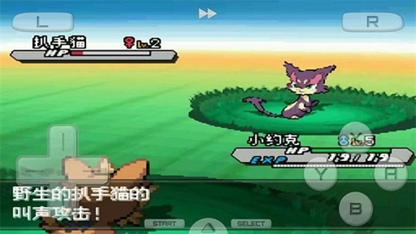 口袋妖怪革命宝石