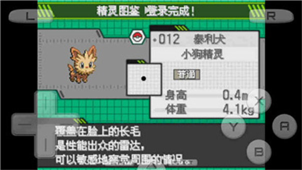 口袋妖怪革命宝石