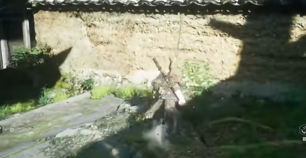 《黑神话悟空》漱玉花种子获取方法