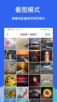 Alook浏览器旧版本截图1
