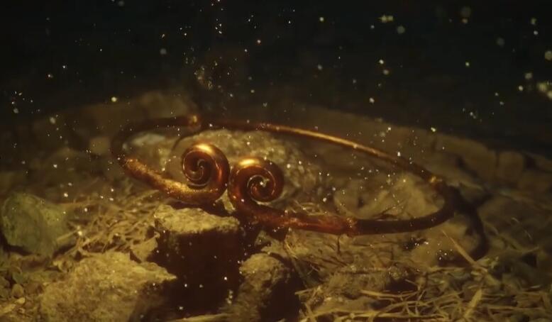 《黑神话悟空》根器意见欲获取方法