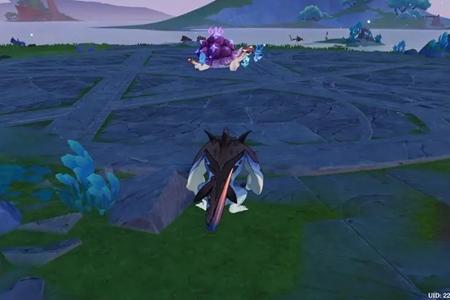 原神柯西霍逃课流玩法攻略