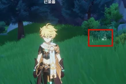 原神风种子使用方法