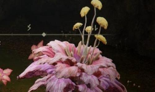 艾尔登法环粉色的花怎么打